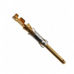 66429-3Reference image