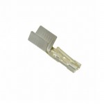 1718250100Reference image